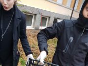 Enea e la ricerca della madre Patria