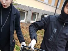 Enea e la ricerca della madre Patria