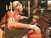 Il museo dei cadaveri a Bolzano tra polemiche, truffe e realtà di plastica