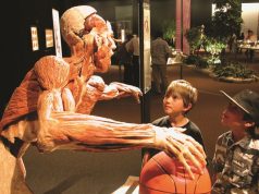 Il museo dei cadaveri a Bolzano tra polemiche, truffe e realtà di plastica