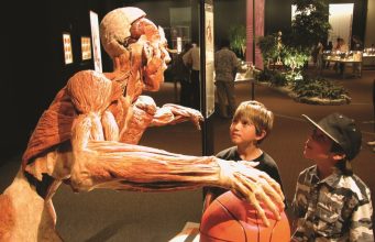 Il museo dei cadaveri a Bolzano tra polemiche, truffe e realtà di plastica