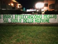 Alberi mangiano smog ma il Comune di Bolzano ne taglia 178 – CasaPound attacca Lorenzini