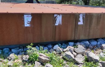 Il negazionismo della sinistra: manifesti anti-italiani alla foiba di Bassovizza, rimossi da CasaPound